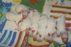 photo3