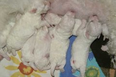 photo4