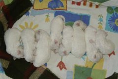 photo5