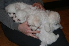 photo16