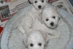 photo10
