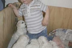 photo9