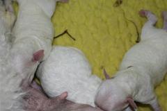 110222-valpar-1-small