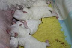 110222-valpar-4-small