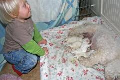 110225-evelina-small