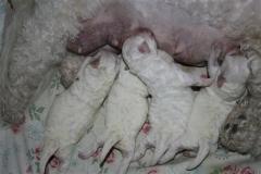 110225-valpar-1-small