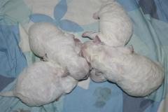 110226-valpar-1-small