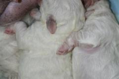 110226-valpar-2-small