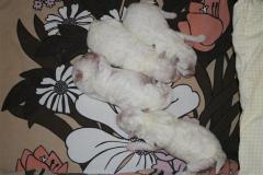 110227-valpar-2-small