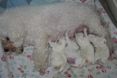 110301-valpar-1-small