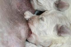 110307-valpar-3-small