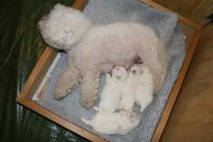 110307-valpar-5-small