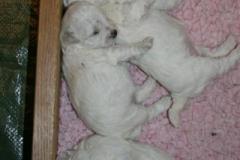 110310-valpar-3-small