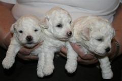 110314-girls-3-small