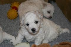 110321-valpar-2-small