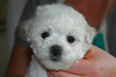 110330-girl-hf-head-2-small