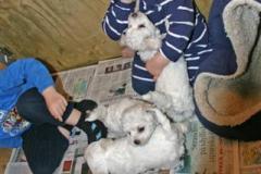 110404-valpar-2-small