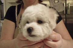 110409-girl-vf-head-1-small