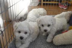 110409-valpar-1-small