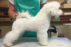 150628-elsa-profil-2