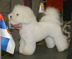 090322-malmodolly-1