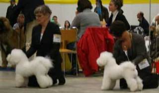 090322-malmoknut-hugo-2