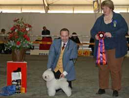 110320-berit-bisveteran-1