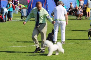 130810-ronneby-teddy-1