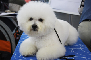140803-charlie