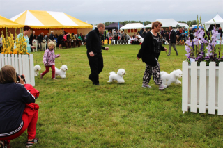 140913-breeder-2-large
