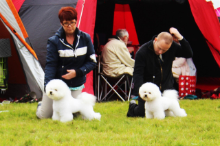 140913-charlie-svante-large