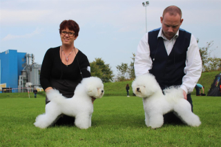 140914-bob-svante-bos-lotta-4-large
