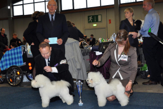 141206-16-bob-sigge-bos-sheela