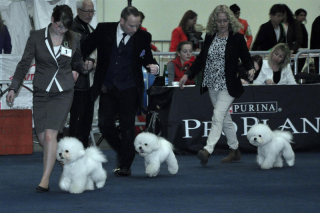 141206-19-breeder