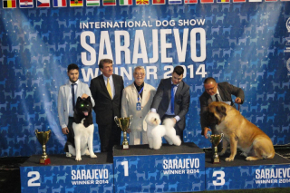 141718-20-sarajevo-6-teddy
