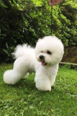 150808-frank-profil