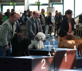160423-lingen-parklass-bis1