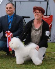 160514-gorlev-2-sonya-bos