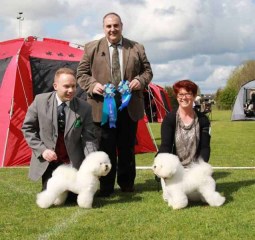 160514-gorlev-baskaran-sonya-bob-zeus-bos