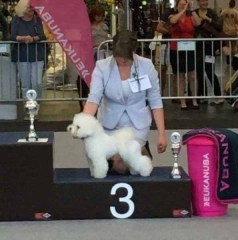 160801-bremen-zeus-grupp3