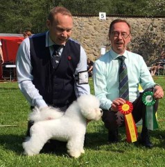 170520-hassleholm-teddy-bob-diamella-bos