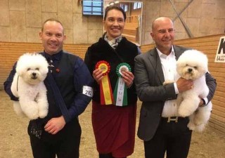 171008-sundsvall-timra-bir-freya-bim-teddy