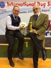 171216-bulgarien-isadora-bisveteran