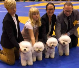 181103Vaxjo_Uppfodargrupp