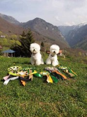 190424Kosovo_4