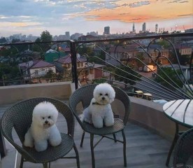 190601Batumi_1