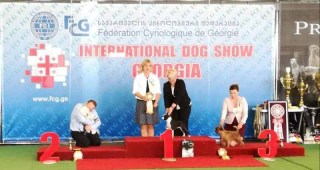 190602Batumi_1