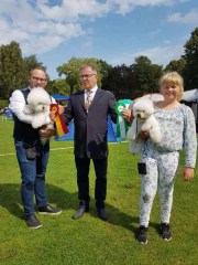 190810Ronneby_3