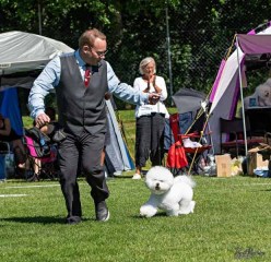 2019-Boras-sdhk-190628_11