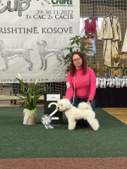 Pristina_231129_1